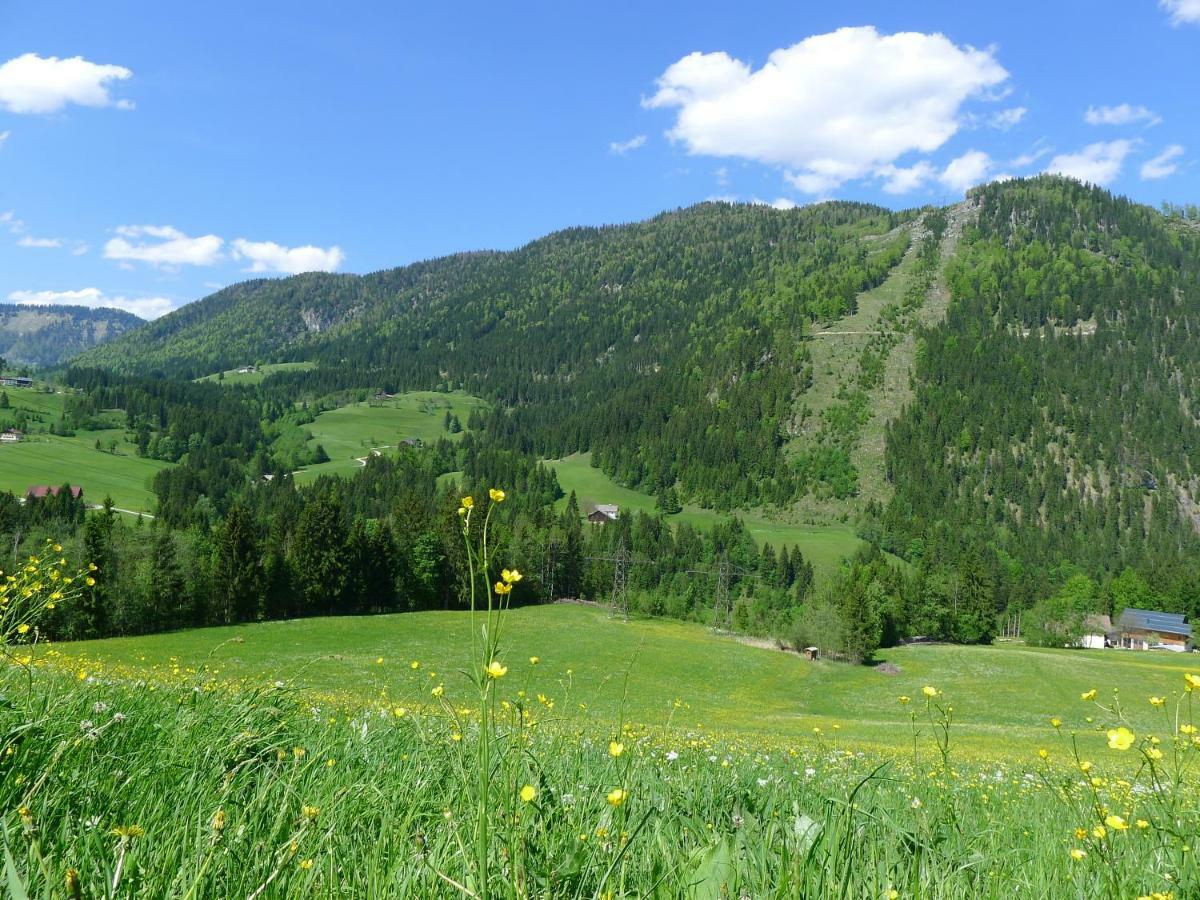 דירות אבטנאו Alpenhaus Dachstein.Zauber מראה חיצוני תמונה