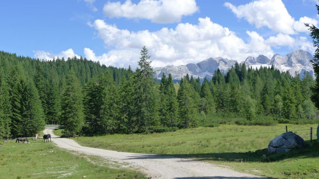 דירות אבטנאו Alpenhaus Dachstein.Zauber מראה חיצוני תמונה