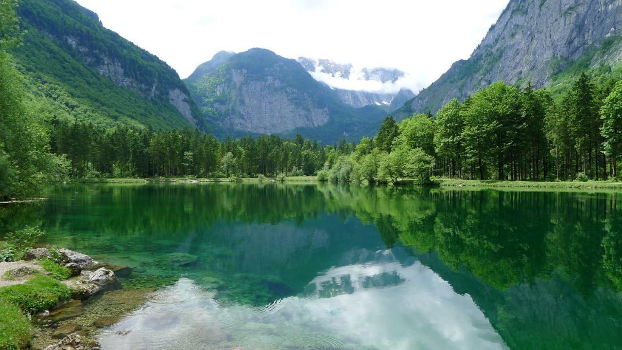 דירות אבטנאו Alpenhaus Dachstein.Zauber מראה חיצוני תמונה