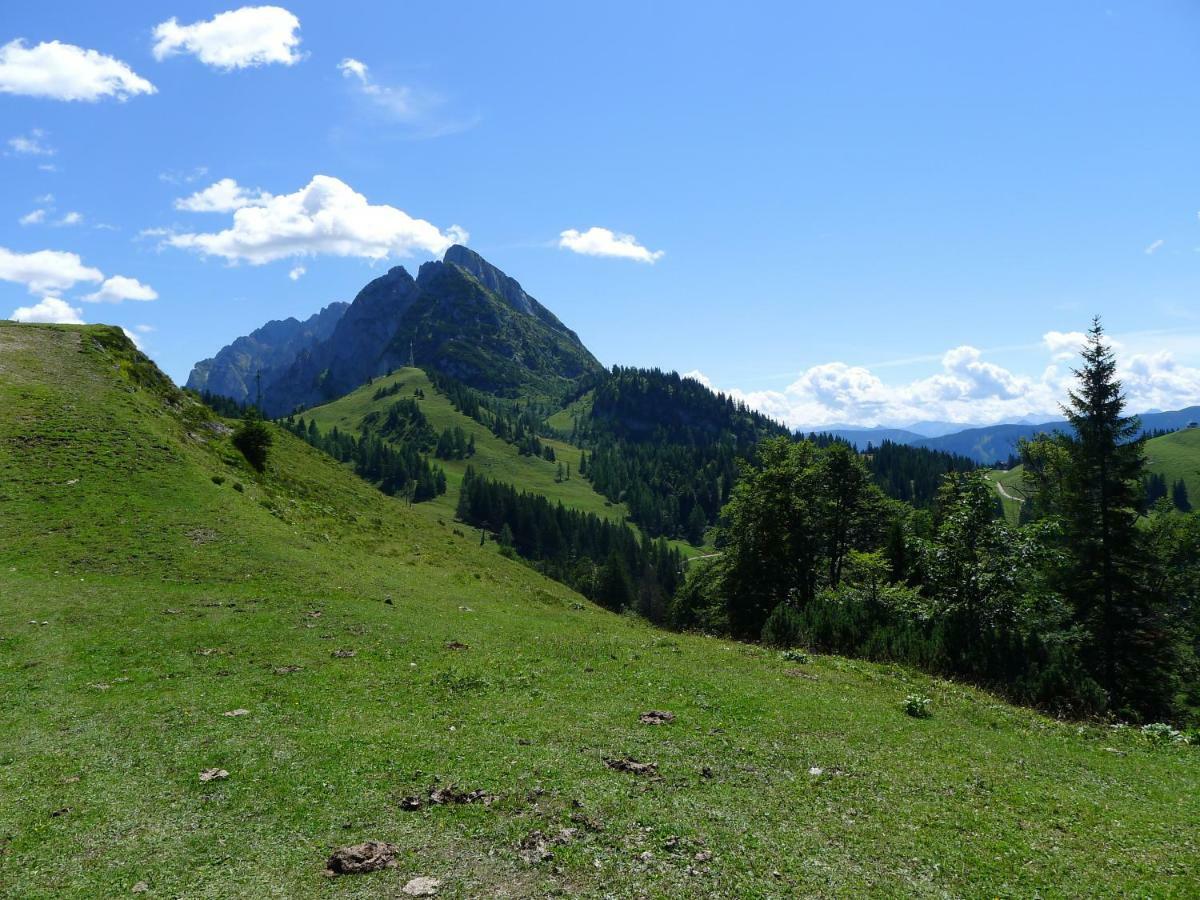 דירות אבטנאו Alpenhaus Dachstein.Zauber מראה חיצוני תמונה