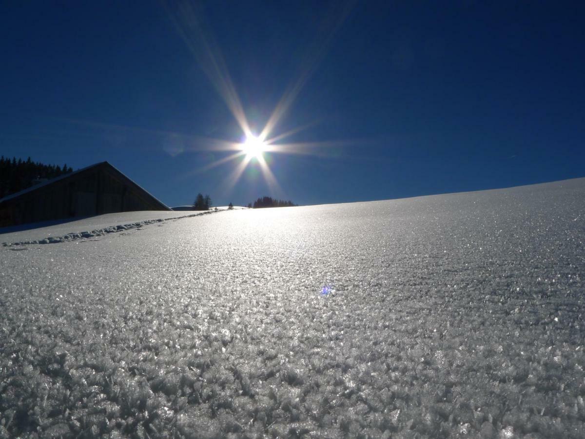 דירות אבטנאו Alpenhaus Dachstein.Zauber מראה חיצוני תמונה